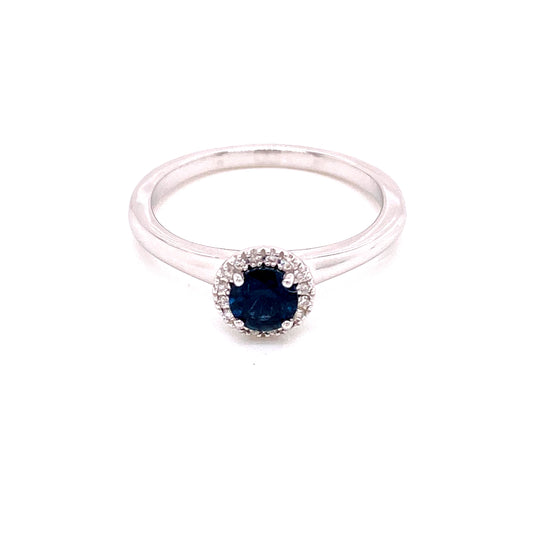 RW2788-9BL