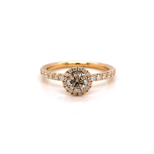 RY3338-50#003